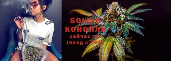 мдпв Лагань