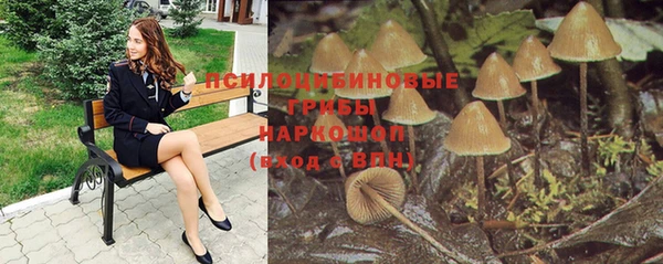 ГАЛЛЮЦИНОГЕННЫЕ ГРИБЫ Лабытнанги