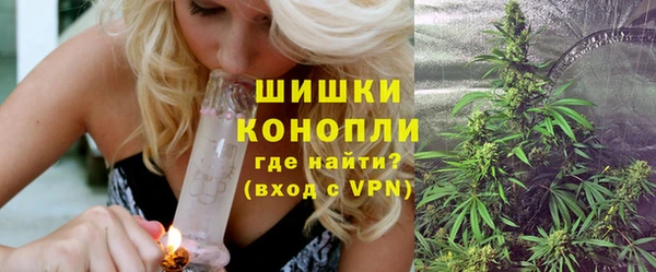мдпв Лагань