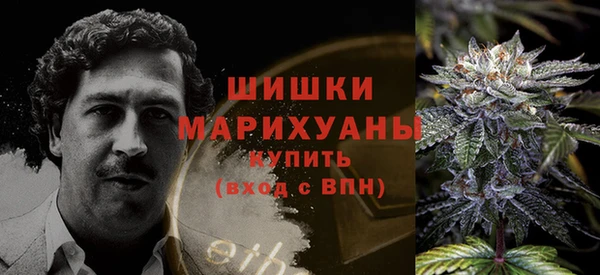 ГАЛЛЮЦИНОГЕННЫЕ ГРИБЫ Лабытнанги