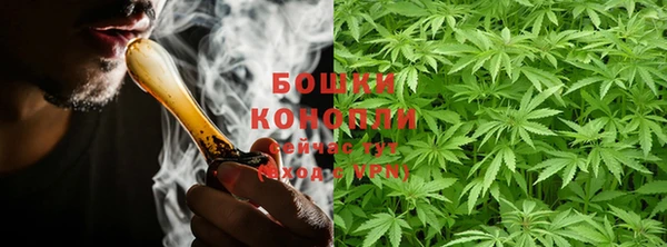 мдпв Лагань
