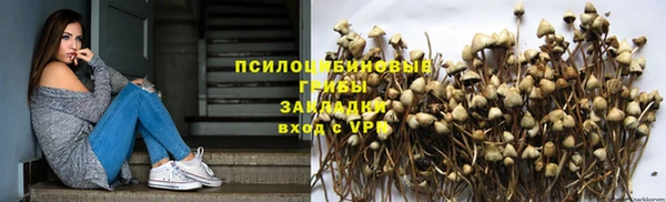 ГАЛЛЮЦИНОГЕННЫЕ ГРИБЫ Лабытнанги