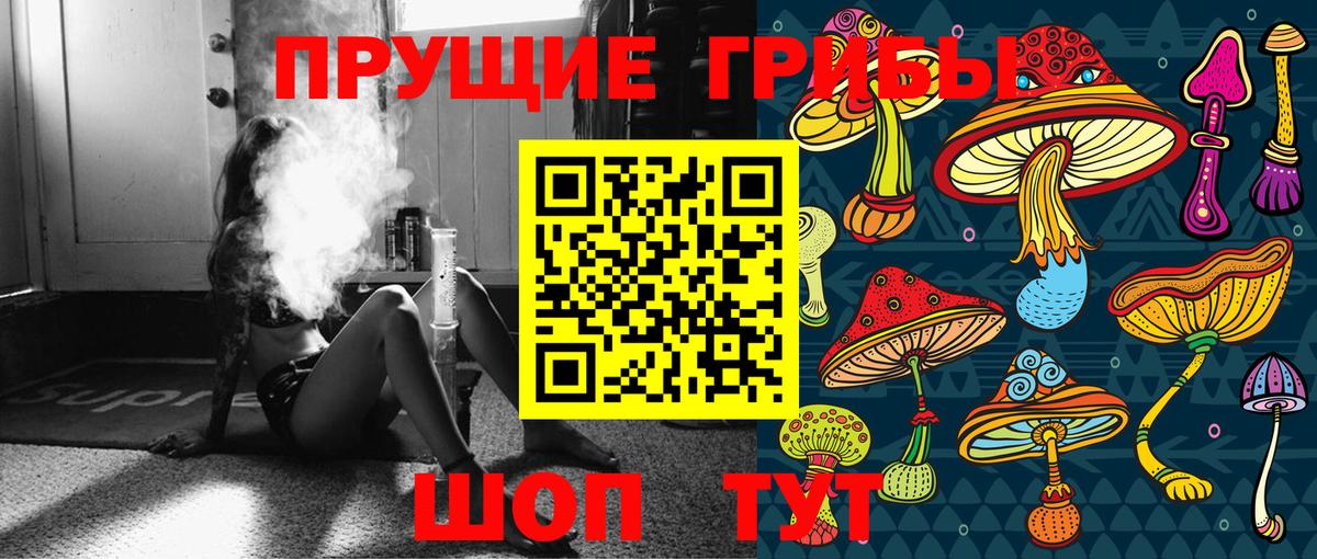 Новочеркасск  Галлюциногенные грибы мицелий  Вход с VPN  Галлюциногенные грибы прущие грибы 