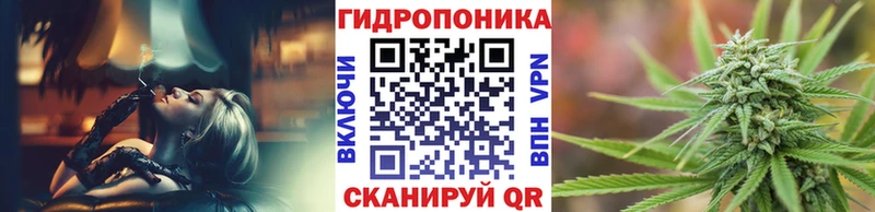 Бошки Шишки планчик  Новочеркасск 